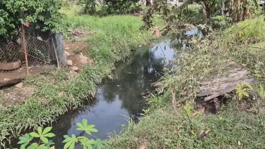 En las próximas semanas habrá dragados en zonas inundables en David