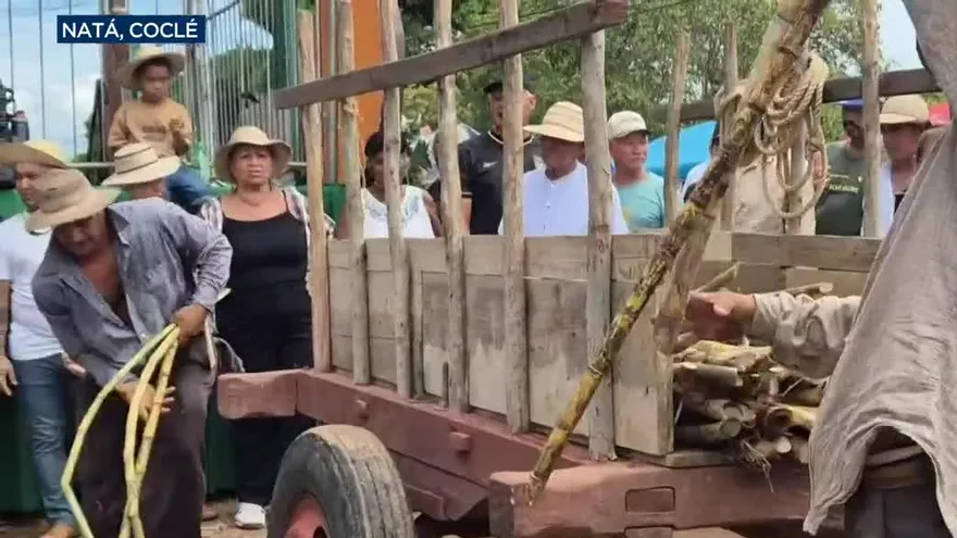 Capellanía en Natá celebra con tradición el Festival Nacional de la Carreta Tradicional