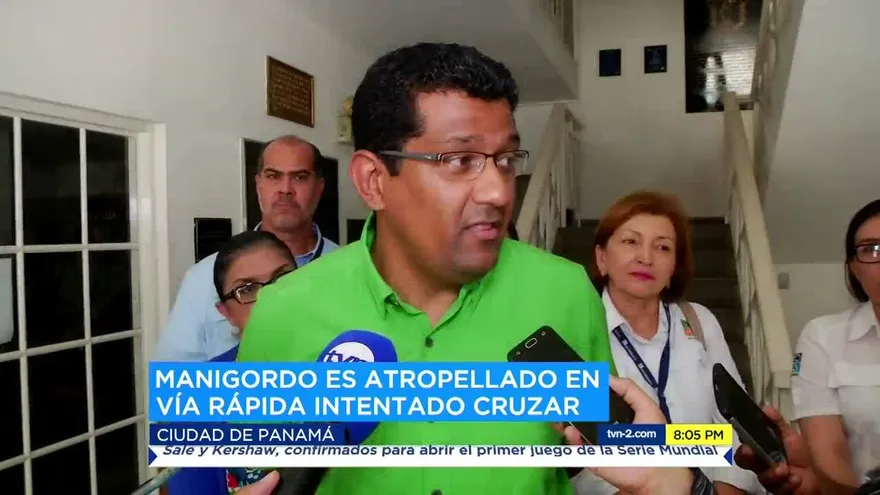 MiAmbiente investiga caso de ocelote atropellado en Loma Cová