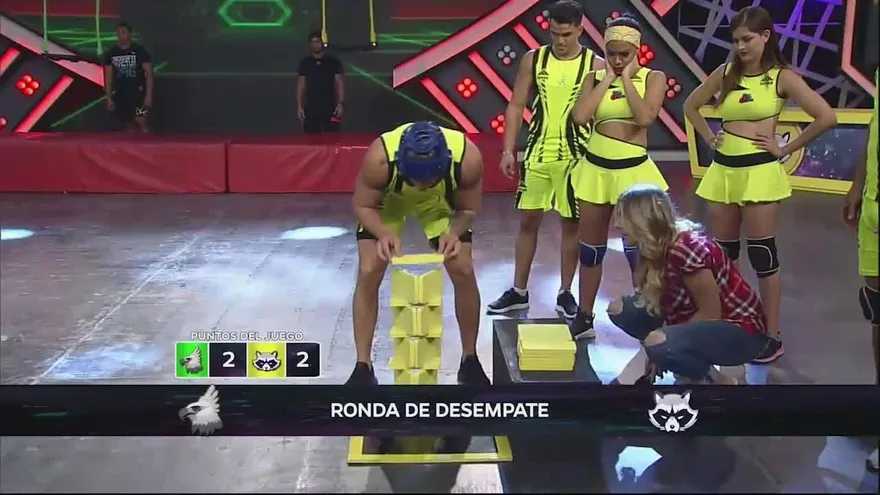 Gran victoria de los mapaches en la torre del mareo