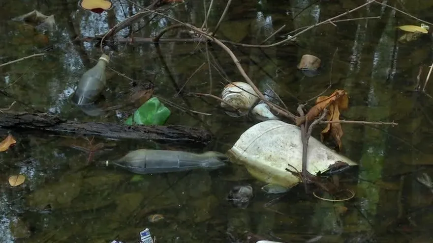 Tiran basura desde un camión