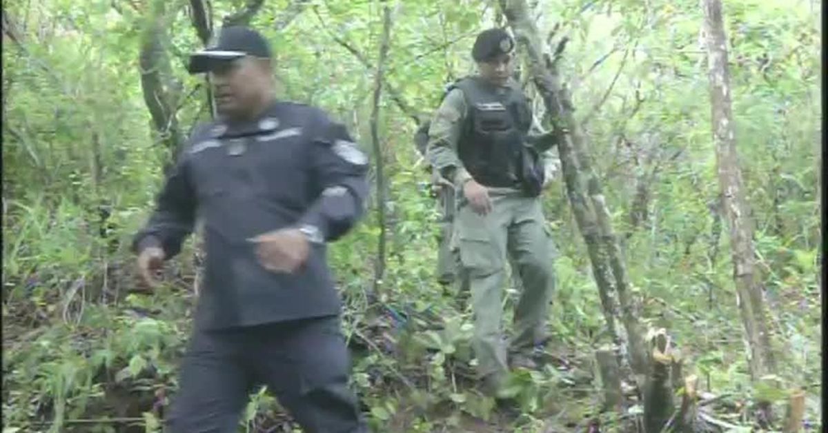 encuentran-armas-y-municiones-en-zona-boscosa-de-veraguas-provincias