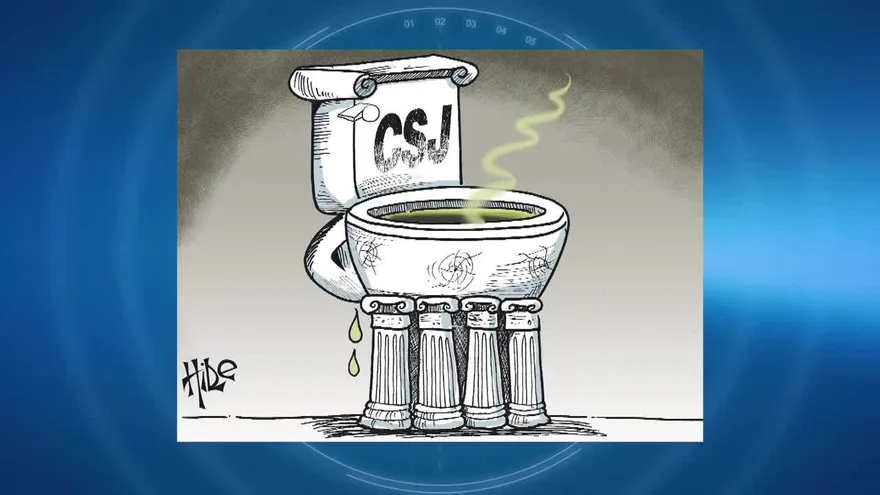 Bloque 8: Caricatura y conclusiones