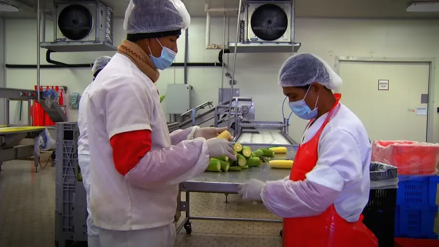 Cadena de Frío, promesa congelada