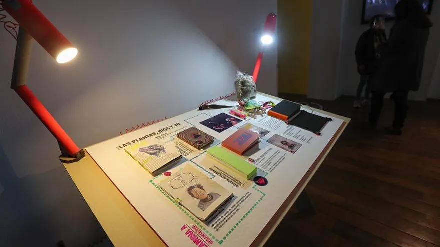 Registro de una obra del artista boliviano Tizi, que hace parte de la exposición Afecciones y mutaciones #cuerpos pandémicos, en La Paz (Bolivia).