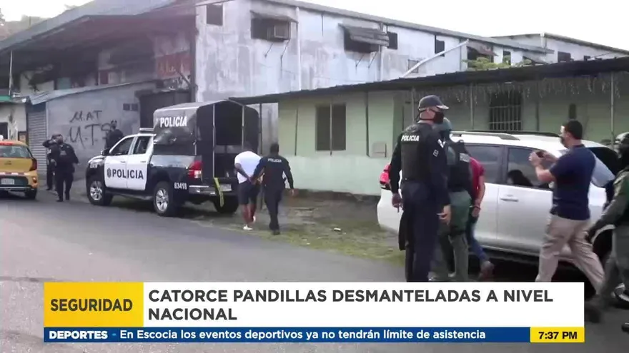 14 pandillas han sido desmanteladas en el último año