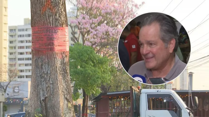 Ministro de Ambiente, Juan Carlos Navarro y los árboles de la vía España.