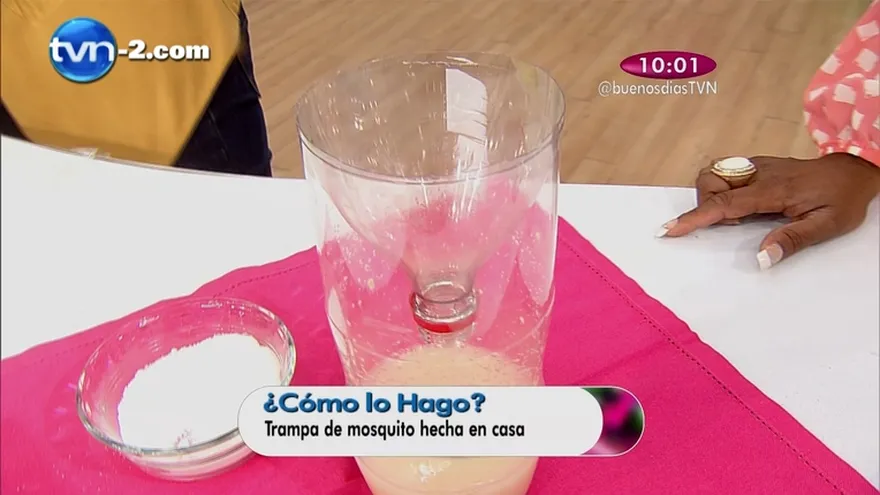 Segmento Cómo lo Hago - Trampa para Mosquitos