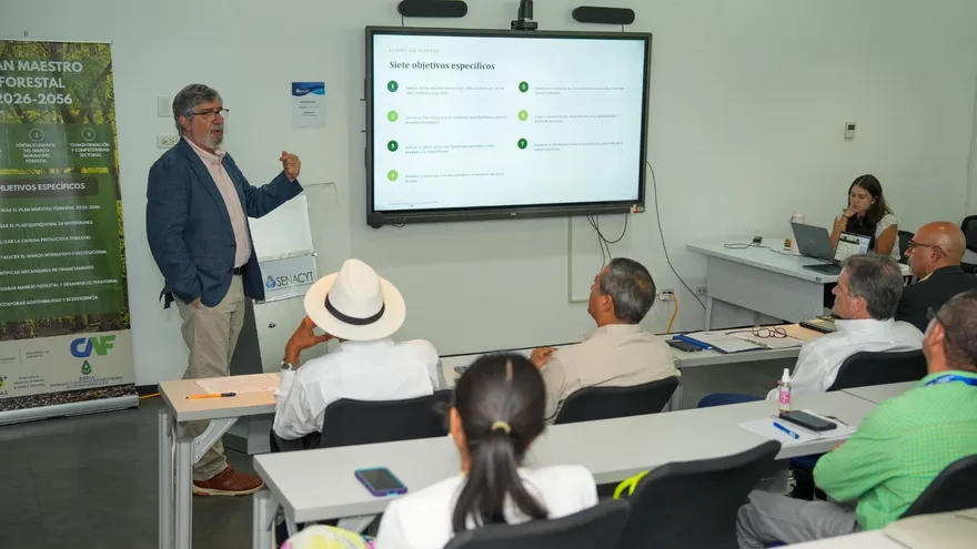 Panamá busca transformar su actividad forestal con un plan de desarrollo sostenible.