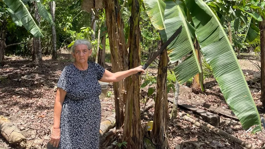 La productora y lideresa rural panameña Idalides Calderón de González, originaria de la provincia de Chiriquí, fue reconocida por la Organización de las Naciones Unidas para la Alimentación y la Agricultura (FAO) como una de las 100 Mujeres Heroínas en los Sistemas Agroalimentarios y el Desarrollo Rural, durante el Foro Mundial de la Alimentación, realizado en Roma.