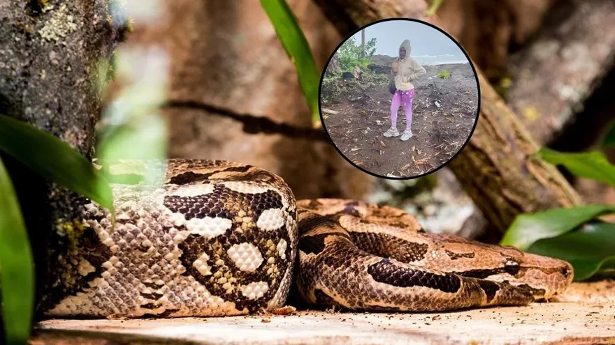 El encuentro se dio cuando se disponía a grabar un video en una playa en Juradó, Colombia