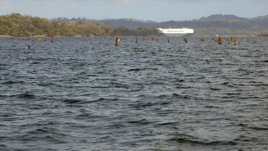 Embalses de Gatún y Alhajuela siguen incididos por escasez de lluvias. Foto/Canal de Panamá