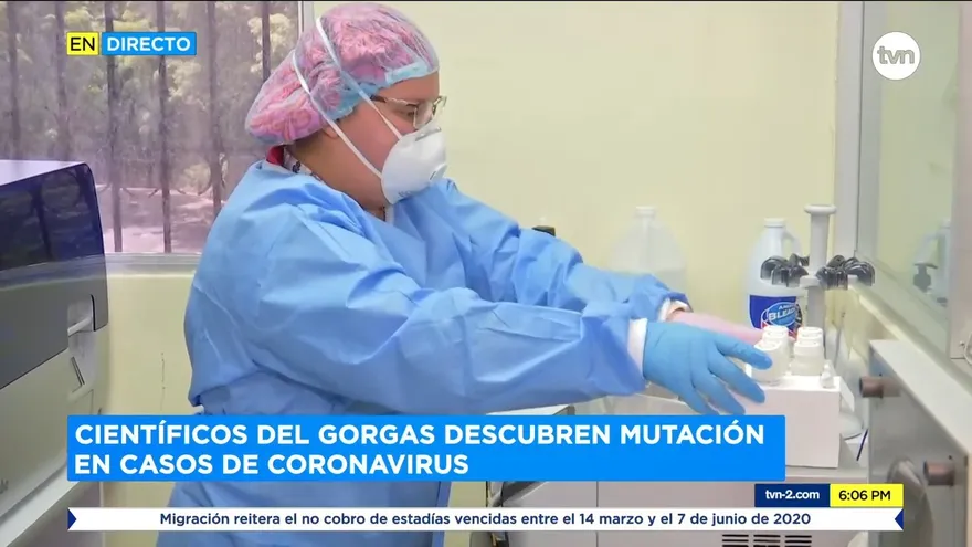 Instituto Gorgas identifica 61 casos de mutación del COVID-19 en Panamá