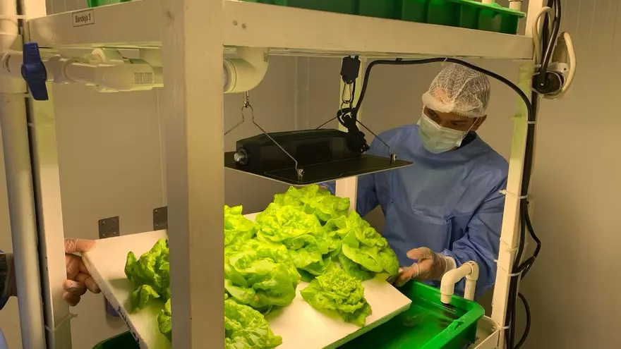 Proyecto educativo introduce agricultura vertical en escuelas de Panamá Este.