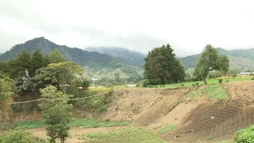 Productores preocupados por robos en Tierras Altas