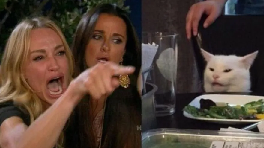 La historia detrás del meme de la mujer gritando y el gato blanco