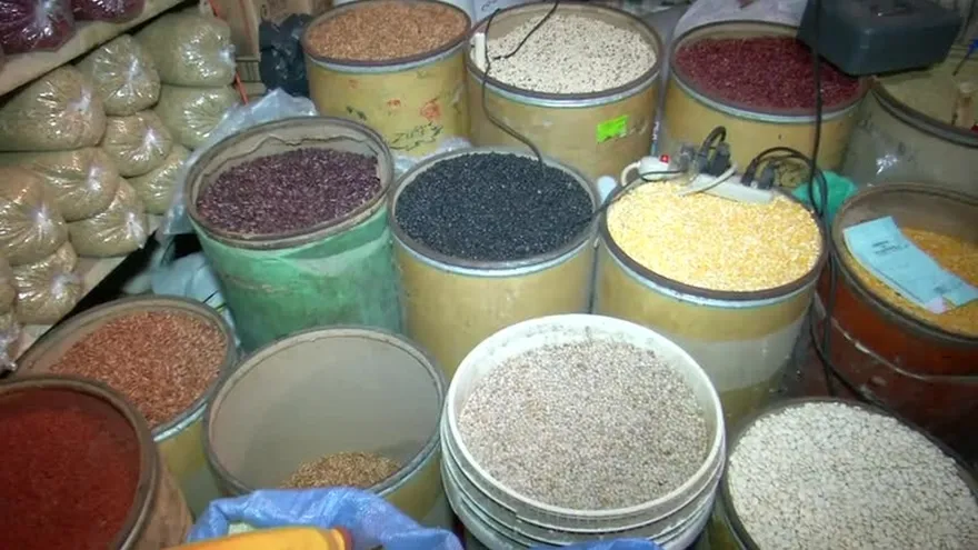 Precio del poroto no debe aumentar por incremento de la producción