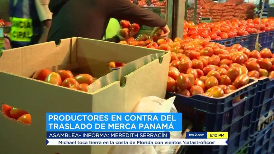 Productores no están listo para el traslado a Merca Panamá