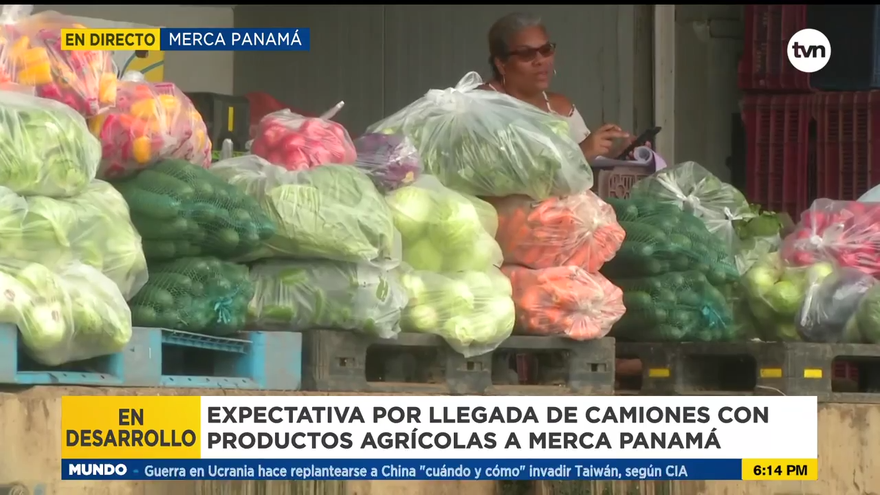 Alta expectativa en Merca Panamá a la espera de los articulados procedentes de Tierras Altas