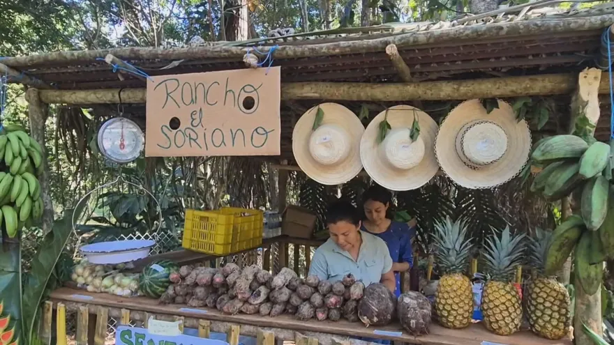El Barrigón en Coclé celebra su primera Feria Agroartesanal