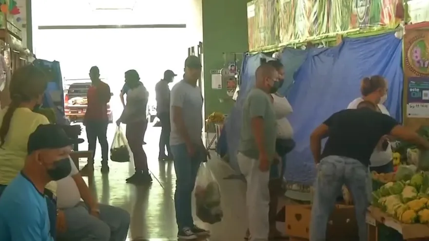 Camiones de legumbres llegan a Merca Panamá