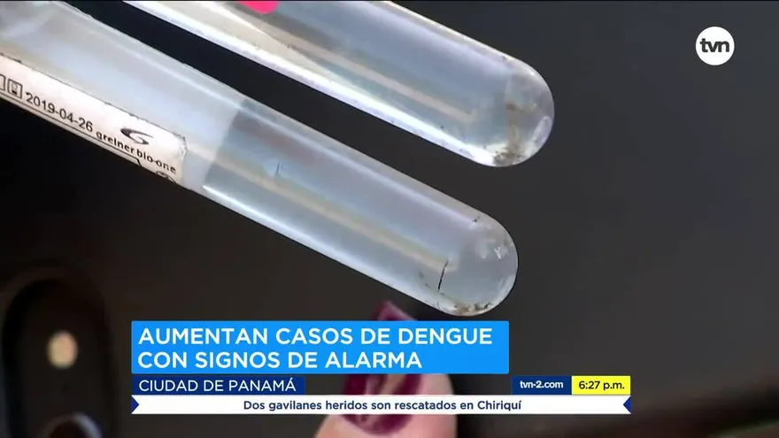 Sigue la falta de conciencia ciudadana ante casos de dengue