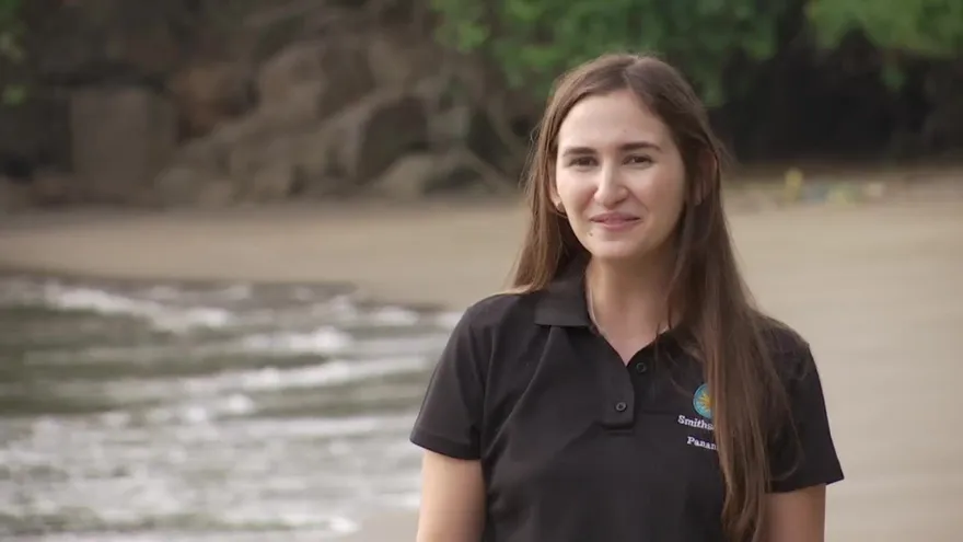 Científica desmiente mitos de las microalgas