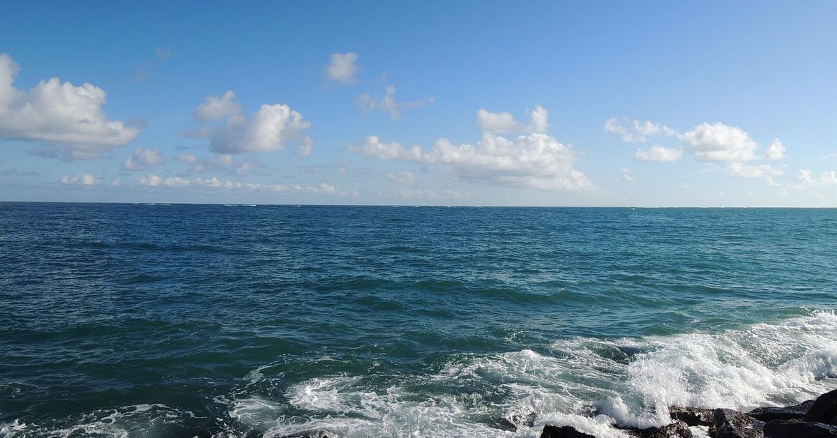 Hombre muere tras rescatar a sus hijos de fuerte oleaje en playa de San Carlos