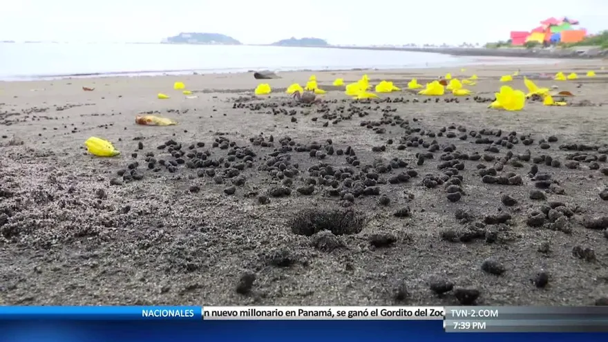 Mundo Verde: un proyecto que podrá ver en el 2018