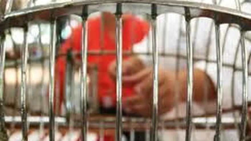 Lotería Nacional: sorteo domingo 29 de agosto de 2021