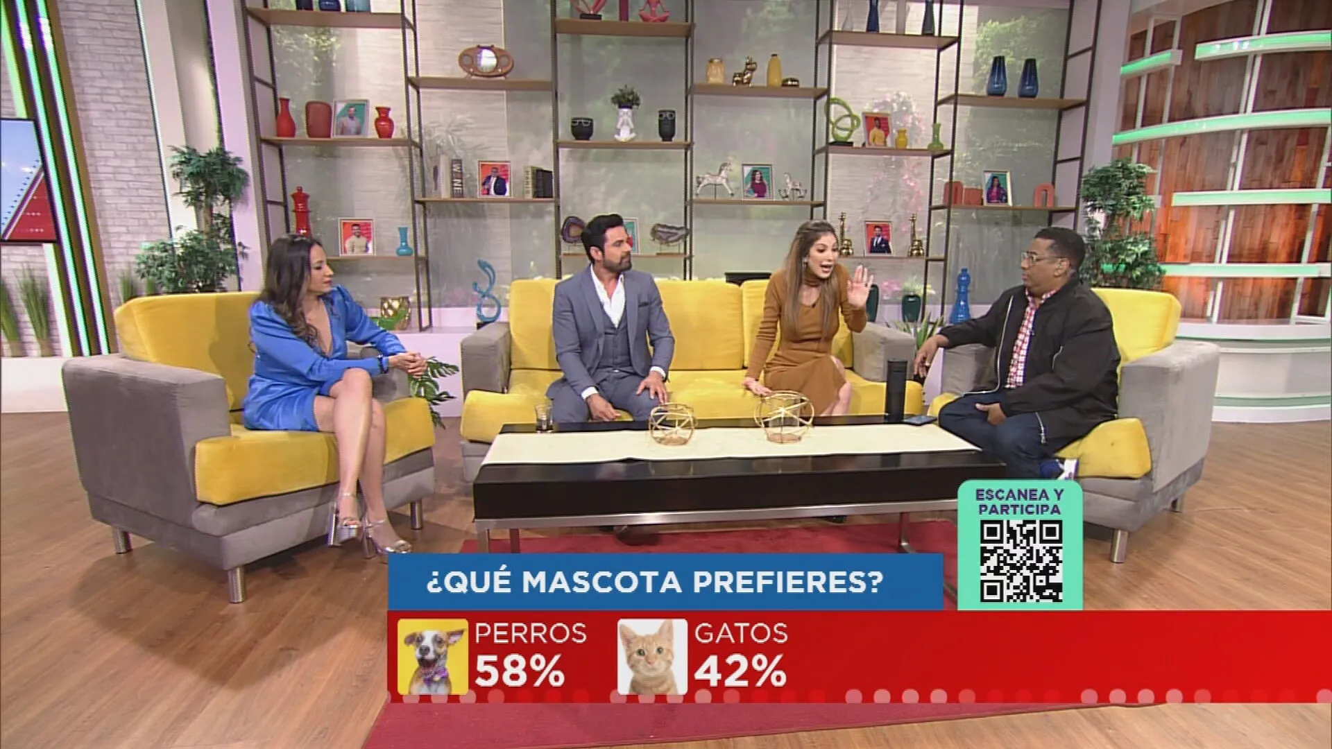 El equipo de jelou habla sobre sus preferencias en mascotas.