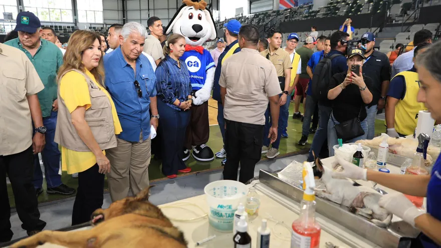 President Mulino y la primera dama en la jornada de esterilización de Misión Patitas en el distrito de David.