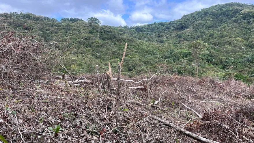Deforestación en la Reserva Forestal de El Montoso afecta fuentes hídricas
