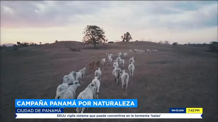 Lanzan campaña para incentivar el turismo interno