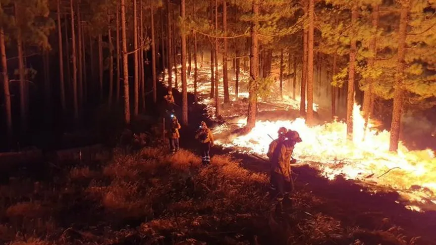 Cinco mil evacuados por 'voraz' incendio forestal sin control en Gran Canaria
