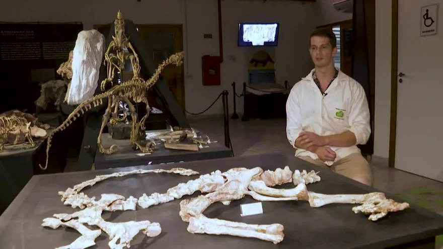 Un parque triásico en las pampas del sur de Brasil