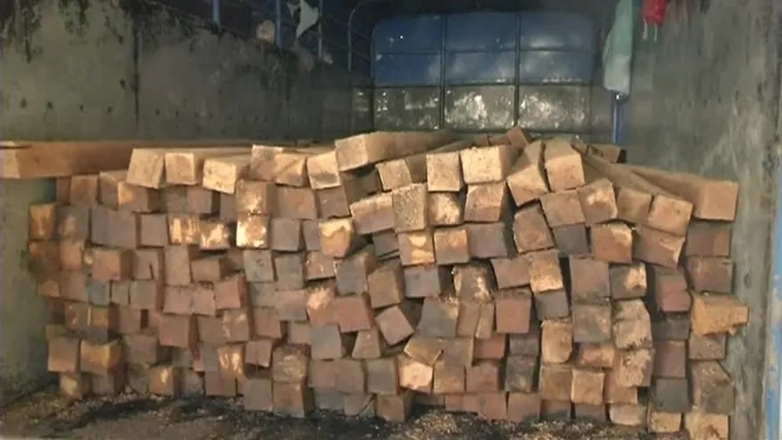 Retienen a ciudadanos que transportaban ilegalmente madera en Chiriquí