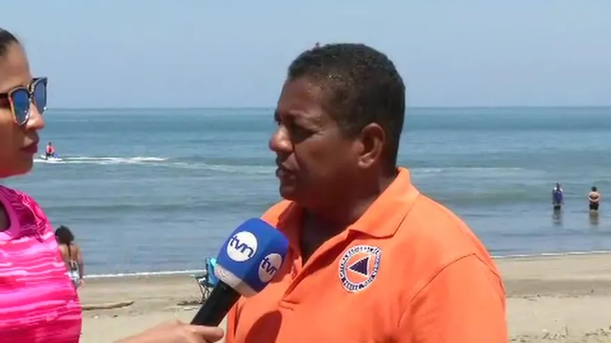 Serpientes marinas en playa El Uverito