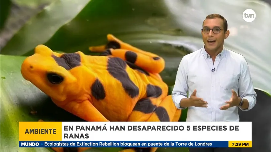 Panamá ya sufre las graves consecuencias del calentamiento global