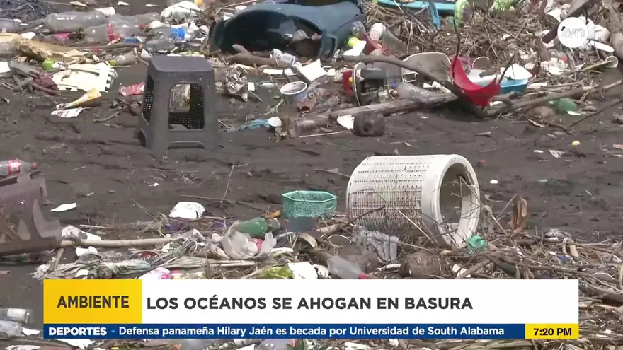 ‘Revitalizar los océanos a través de la acción colectiva’ es el lema en el día de los océanos