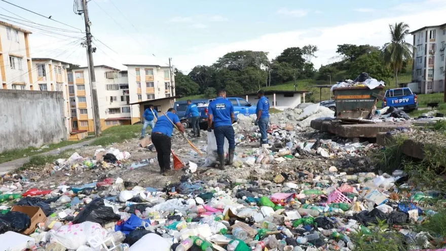 Alcaldía retira toneladas de basura y criaderos de mosquitos en Pedregal