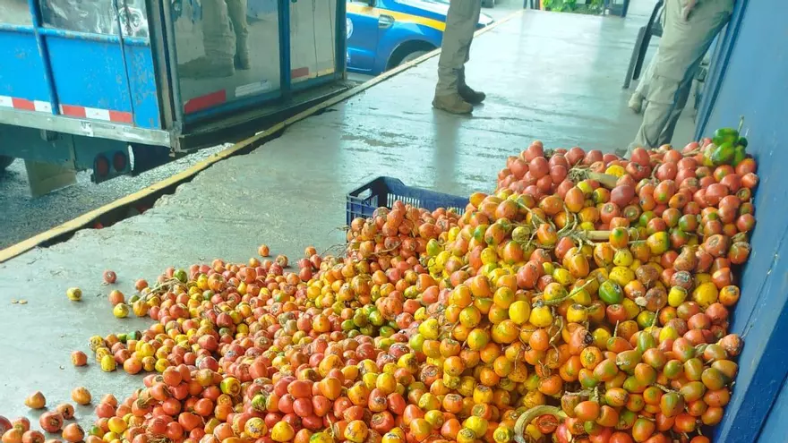 Aduana retiene productos agrícolas de contrabando en David.