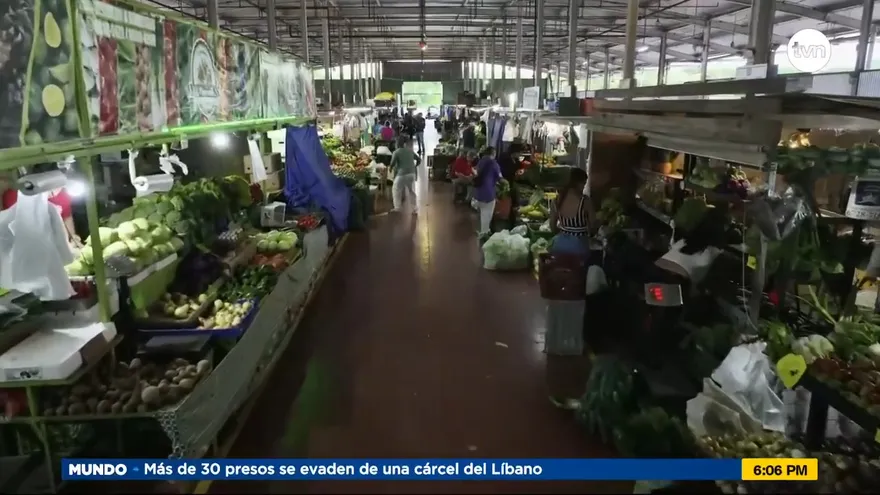 Estabilizan precios en Merca Panamá