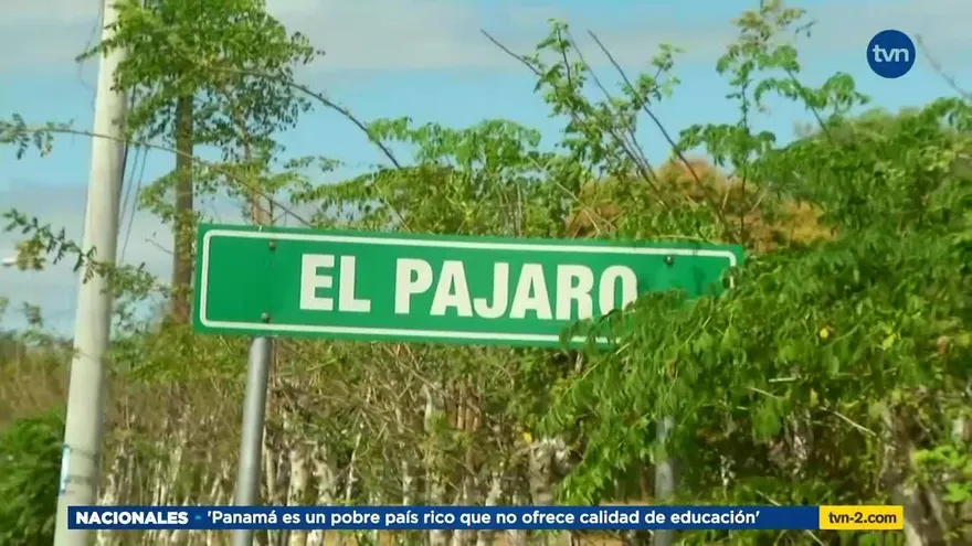 Dan seguimiento a caso de hantavirus en Herrera