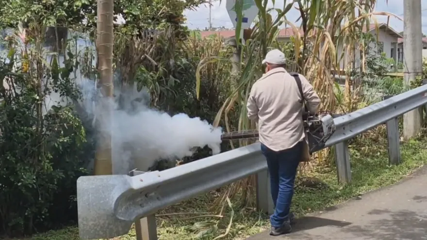 Fumigación para evitar criaderos de mosquitos.