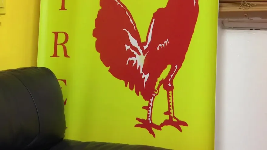 Partido Molirena realiza elecciones de convencionales