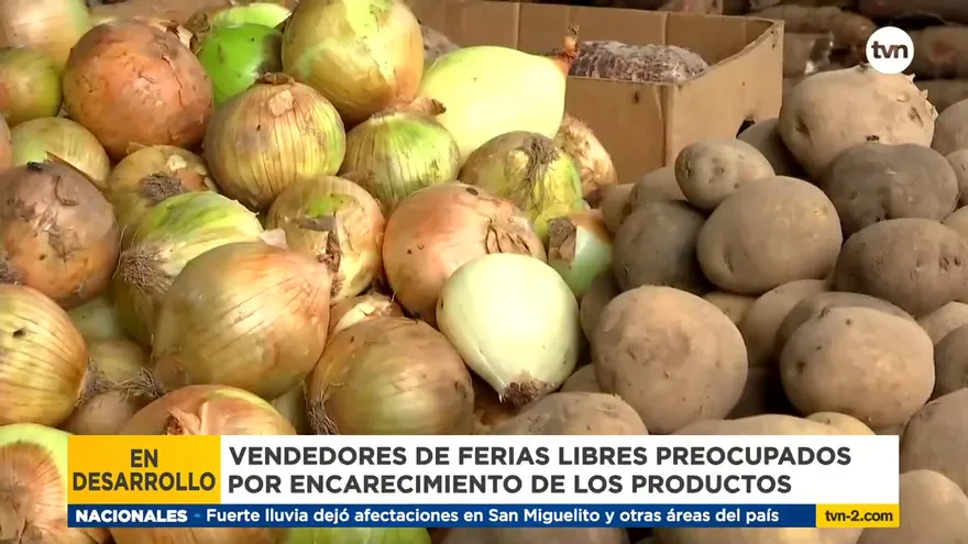 Comerciantes de feria libre preocupados por precios de los productos