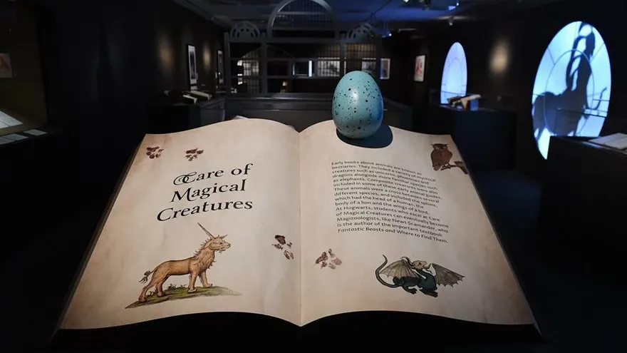 Vista de parte de los objetos expuestos durante una exposición de "Harry Potter: historia de la magia".