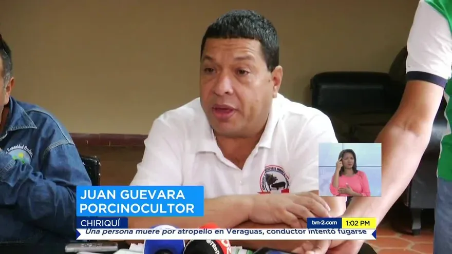 Porcinocultores en alerta por acuerdos de importación entre Panamá y China