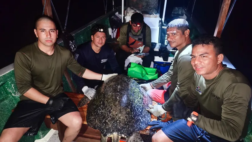 Comisión de proteccion de Coiba